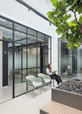 Innenarchitektur Zahnarztpraxis Darmstadt - helles Wartezimmer mit Sitzmöbeln, Glastrennwänden und Baum 